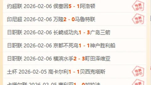 南京的体育魅力