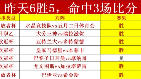 Life Is Strange_ Reunion克洛伊收集品